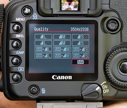 16_why_raw_1.jpg
