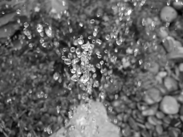 DSCF0540.jpg