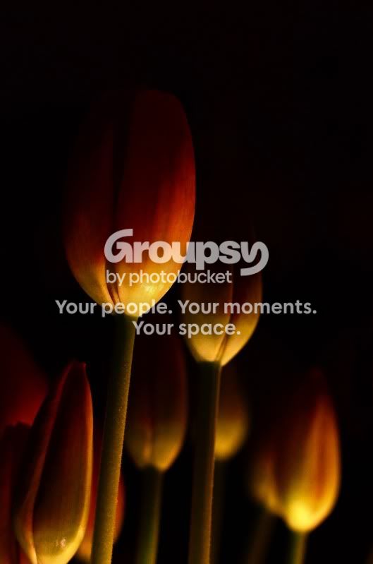 earthhour1.jpg