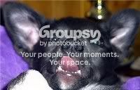gizmo2.jpg