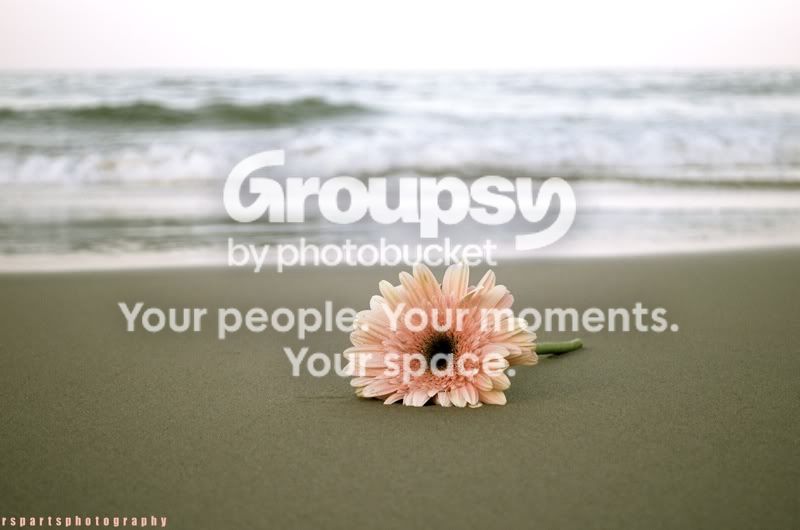 flower.jpg