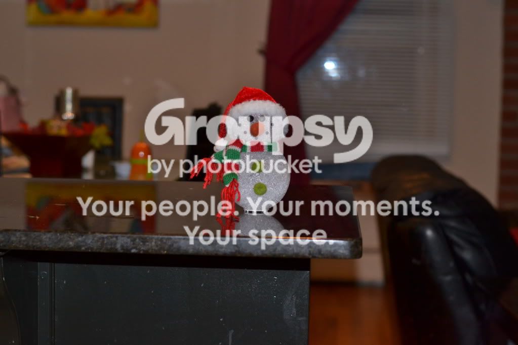 refocus007.jpg