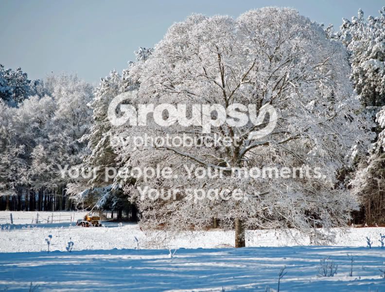 snow2010.jpg