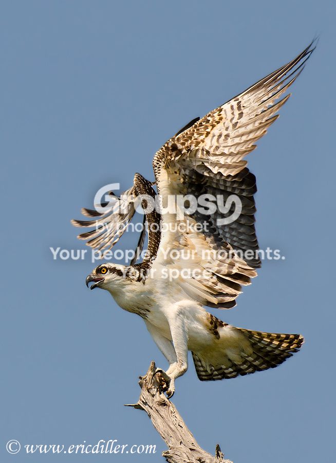 _ECD7788-copy900.jpg