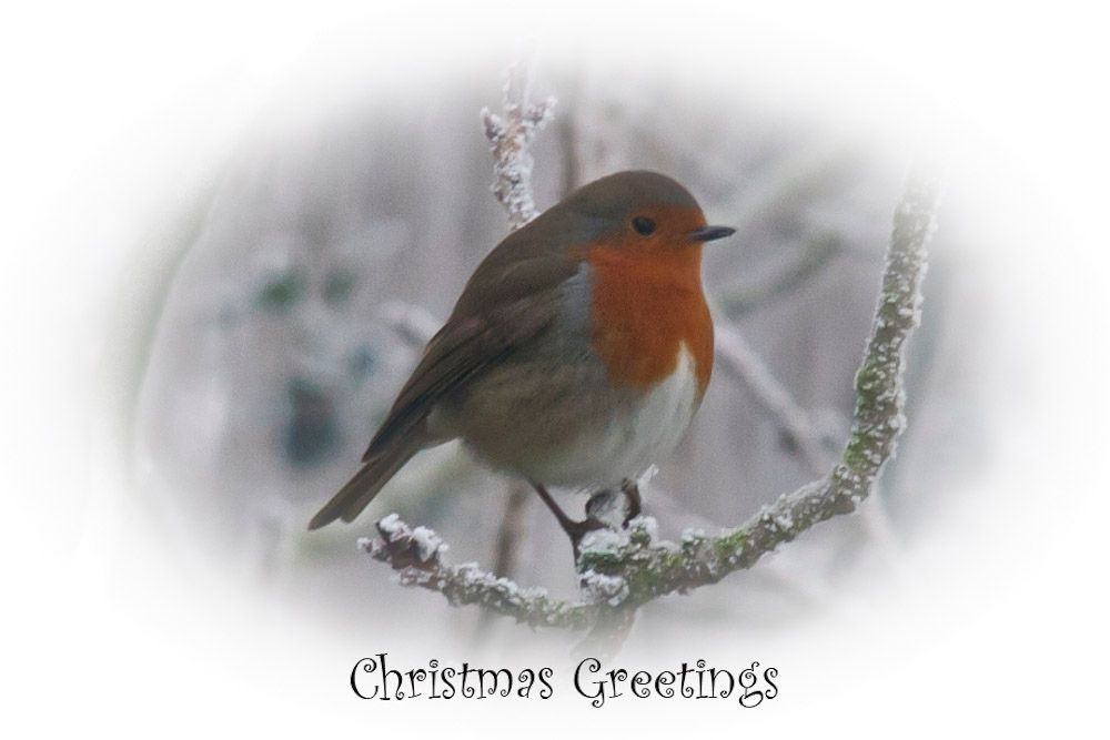 Christmas-1.jpg