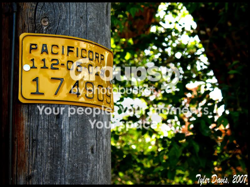 sign1.jpg