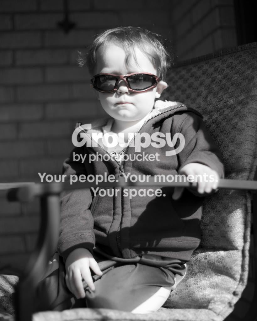 glassesseg.jpg