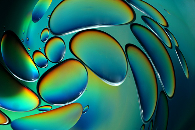 8461237763_41d403e8f7_z.jpg