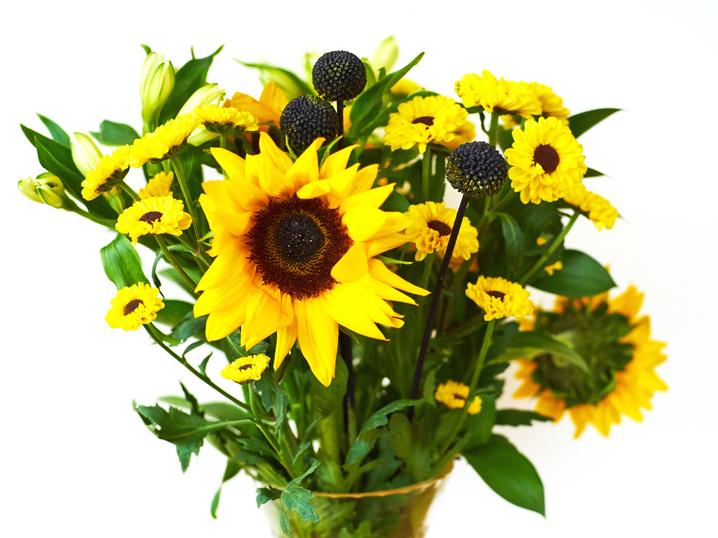 DSC00801-XL.jpg
