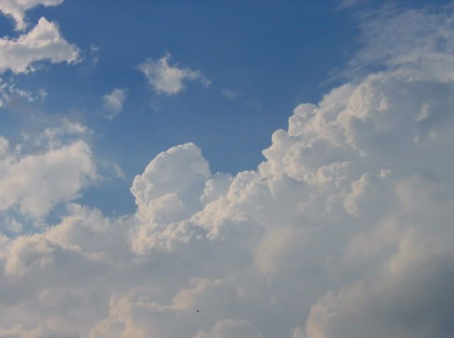 Juli05_Schauerwetter3_websize.jpg