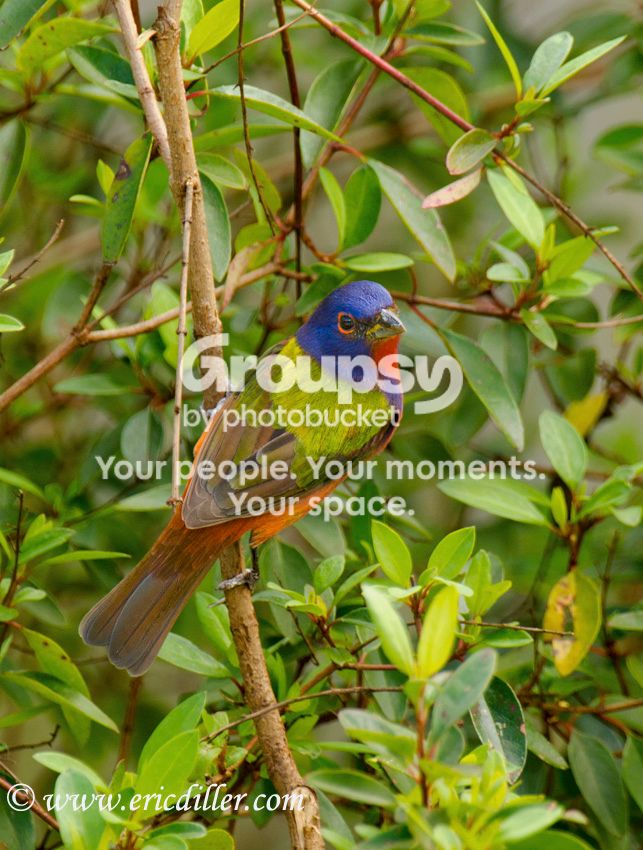 ECD_8887copy.jpg