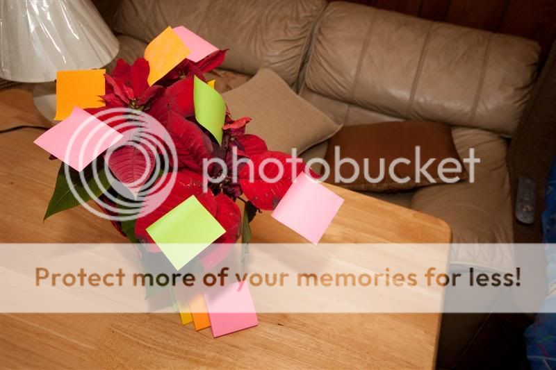 IMG_1516Medium.jpg