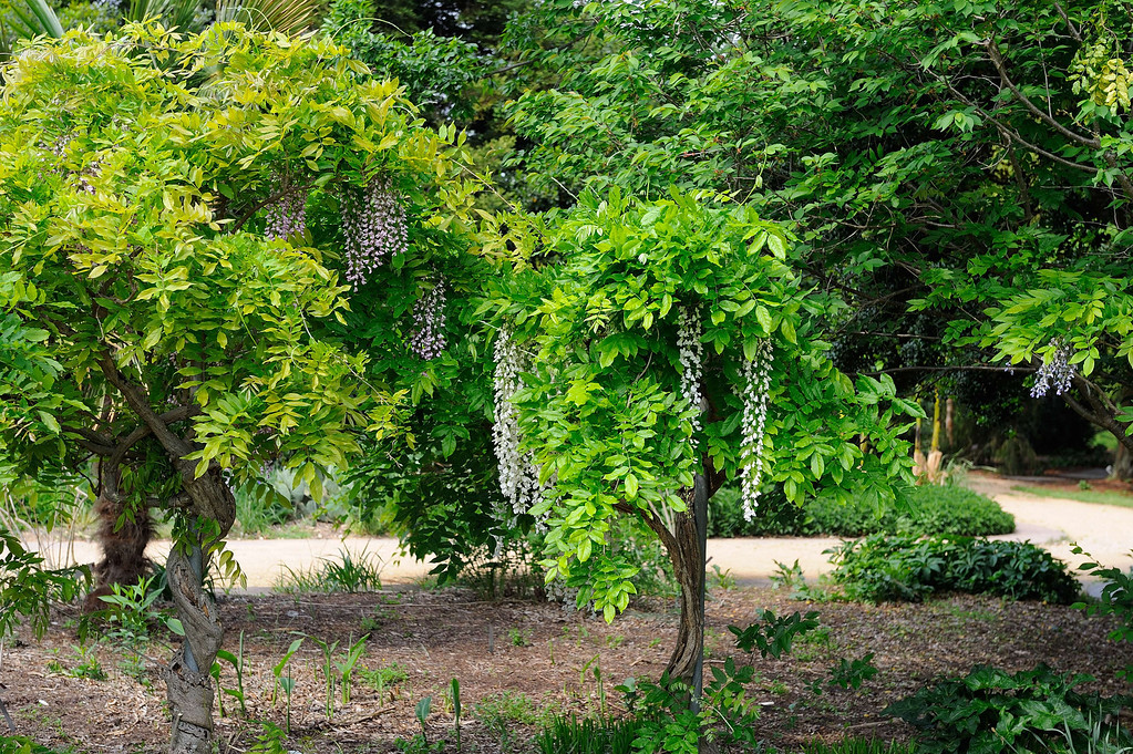 DSC_00056-XL.jpg