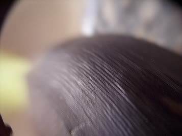 100_2521.jpg