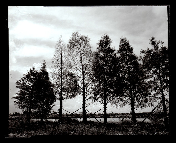 4x5-001-L.jpg