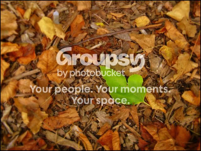 greenleaf2.jpg
