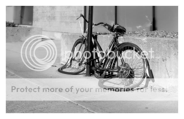 bike.jpg
