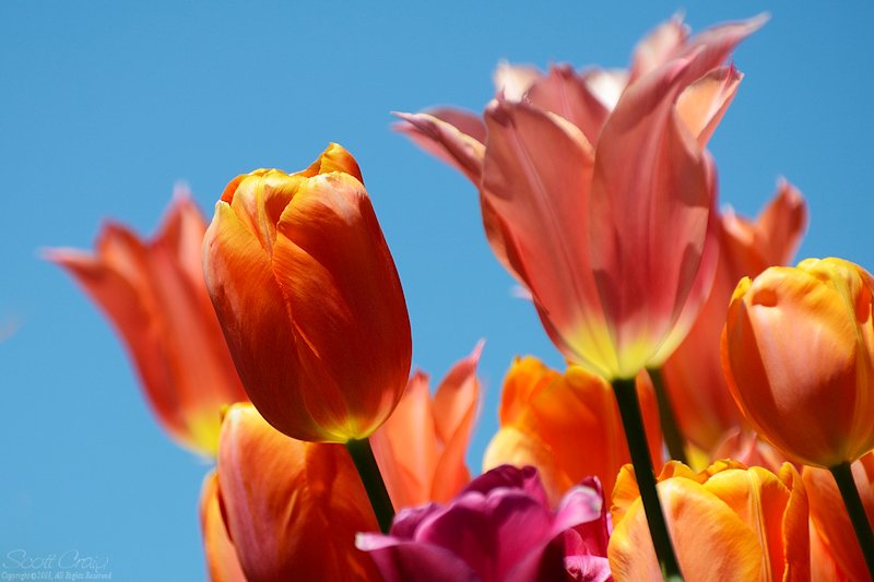 2013-04-20-26.jpg
