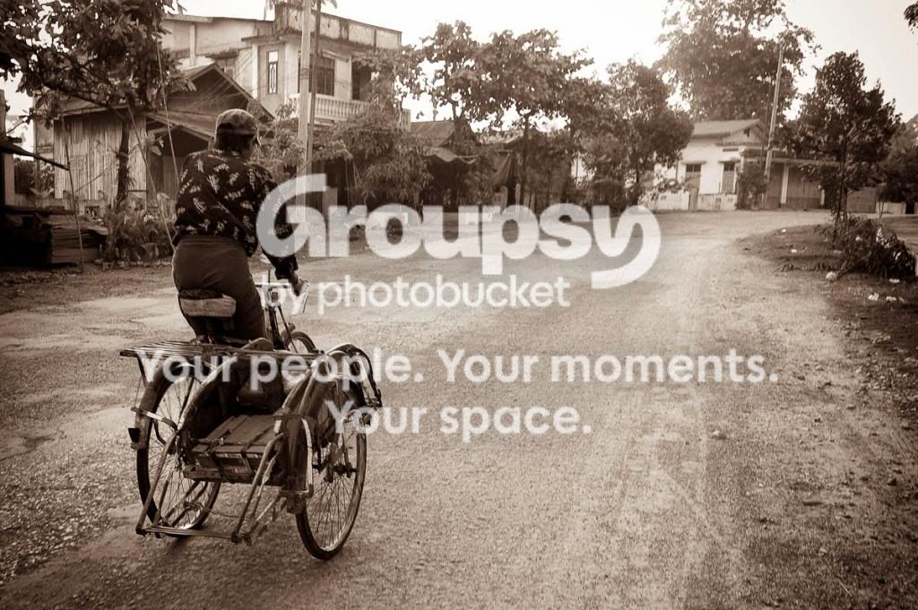 pedibike_07984371245-2.jpg