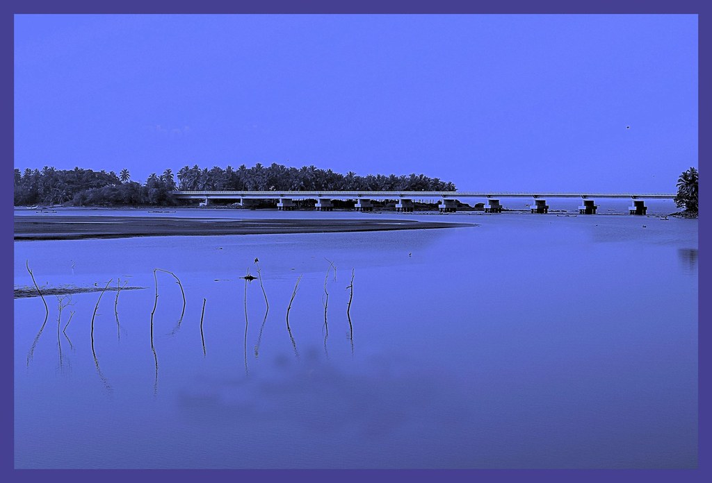 5529471011_cda2e1eac6_b.jpg