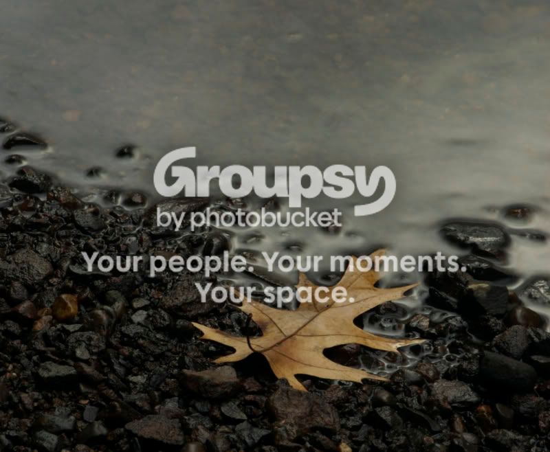croppedleaf.jpg