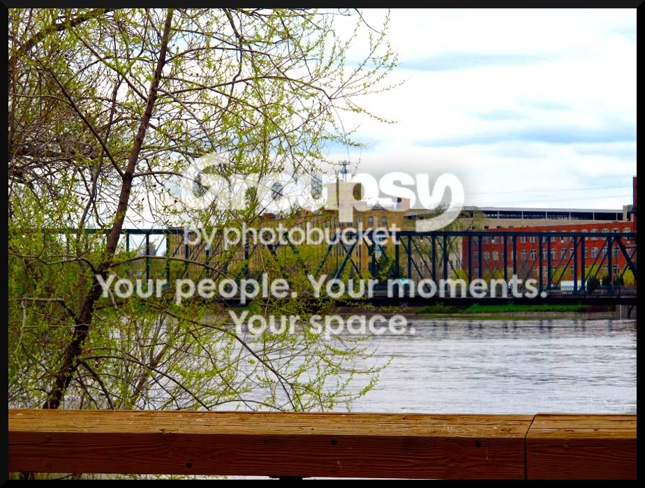 bridge3.jpg