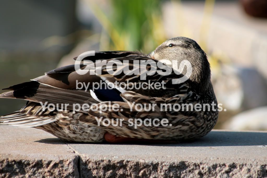 IMG_9243reiszed.jpg