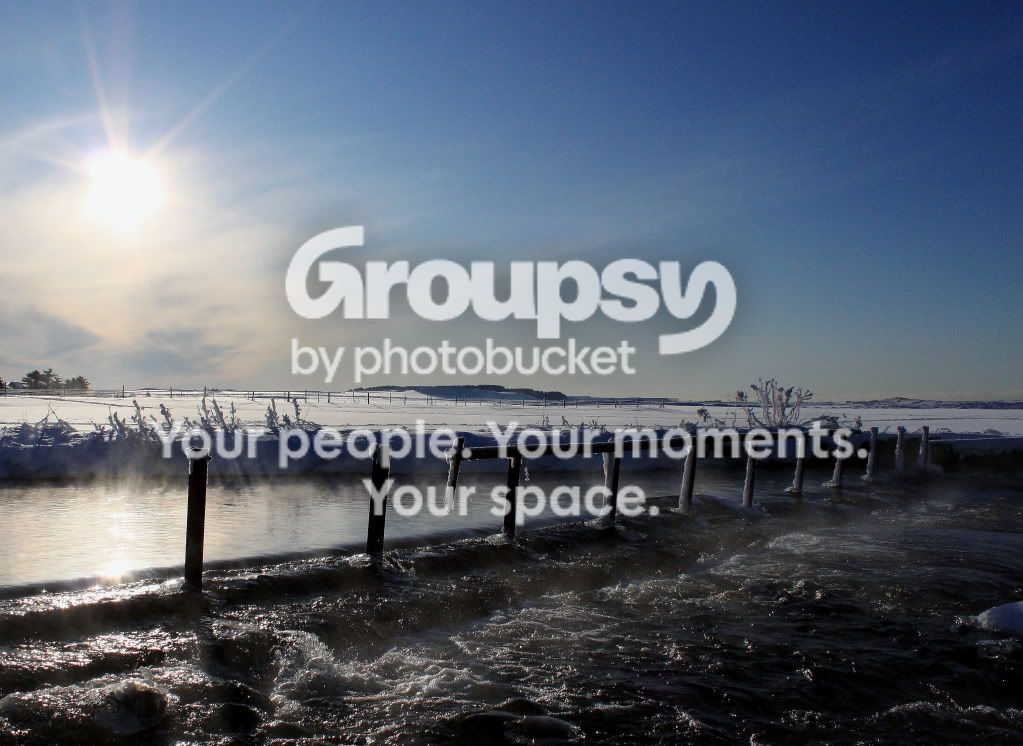 IMG_2203ab.jpg