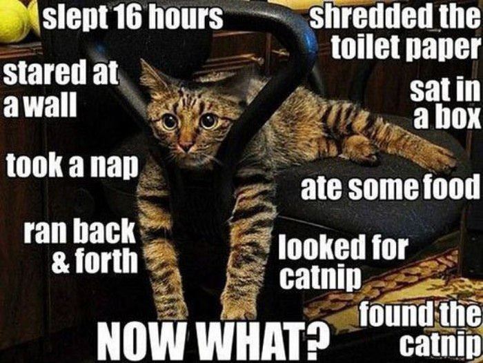 and_now_what.jpg