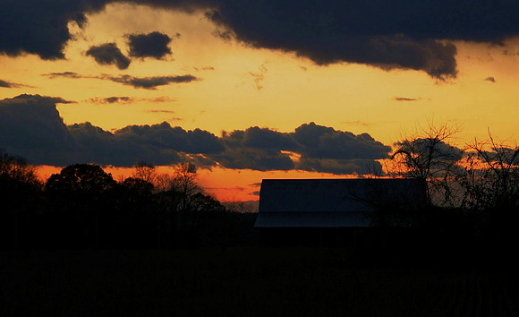 p586829086-3.jpg