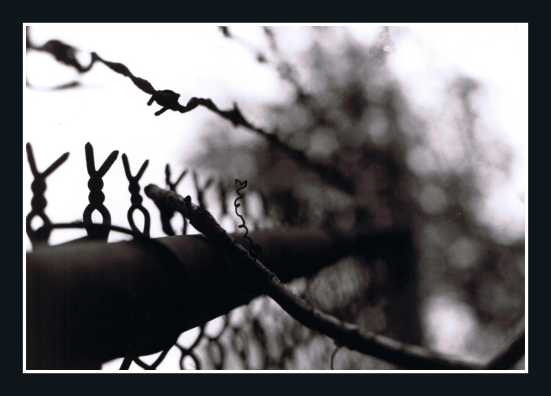 barb_wire_by_A_T_H.jpg