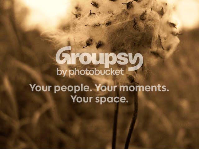 100_4339croppedsepiafuzzyweed-1.jpg