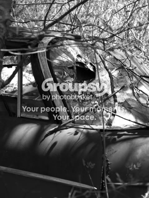 junkyard041.jpg
