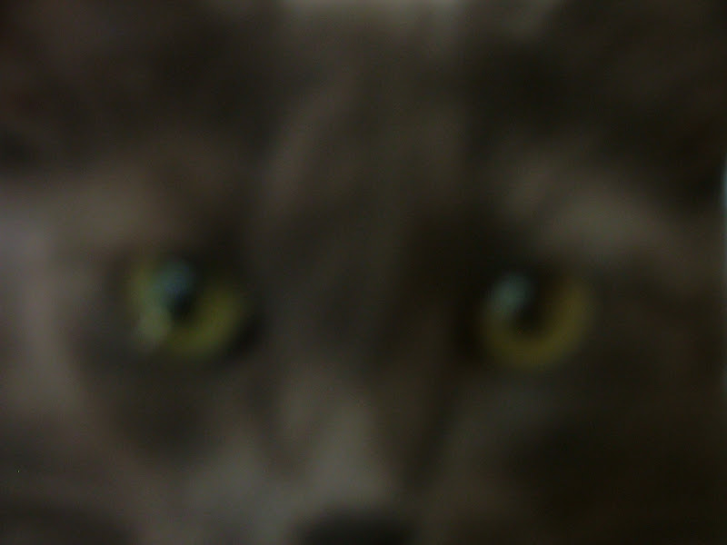 DSCF7098.JPG