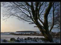 17-12-05-031-snow5.jpg