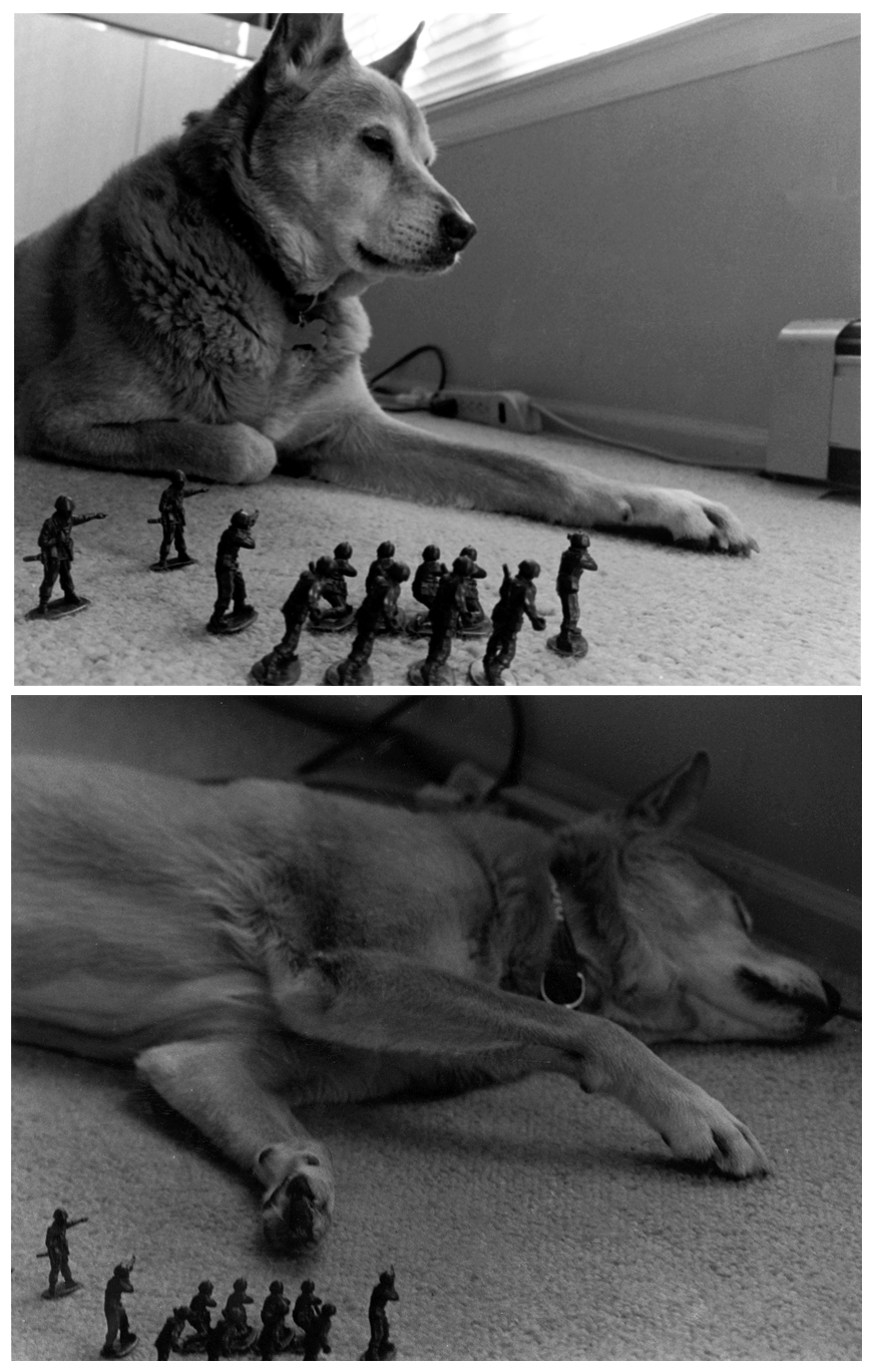 A_Tale_of_A_Dog_by_hotrocks22.png