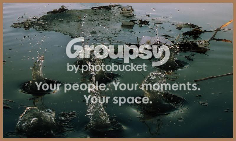 6splash.jpg