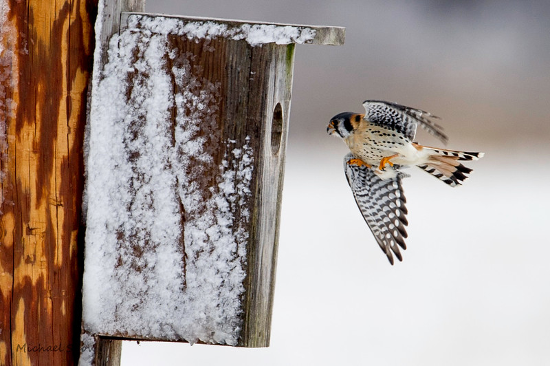 MSP_0862-L.jpg