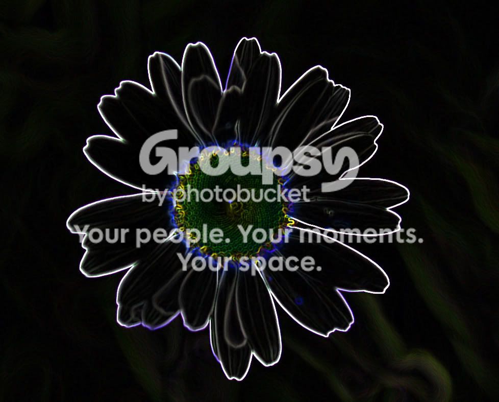 aIMG_0139.jpg