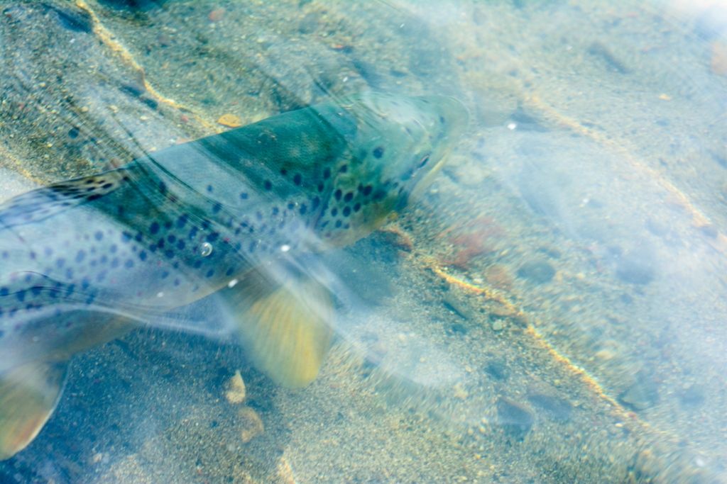 D71_2082_zps26d945fd.jpg