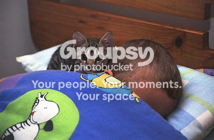 PhspIMG021.jpg
