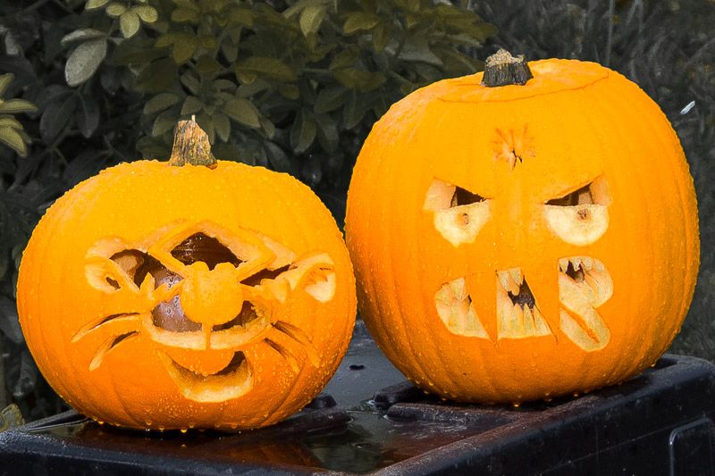 carving-3.jpg