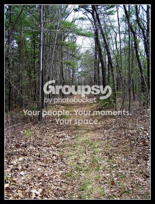 Pathway-1.jpg