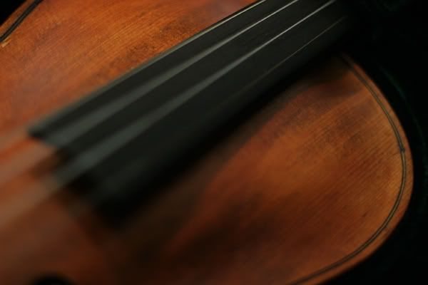 violin1550.jpg