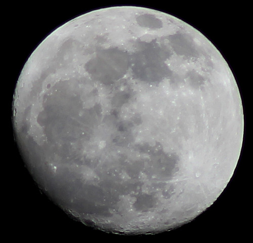 6827395351_ba9a1407f5.jpg