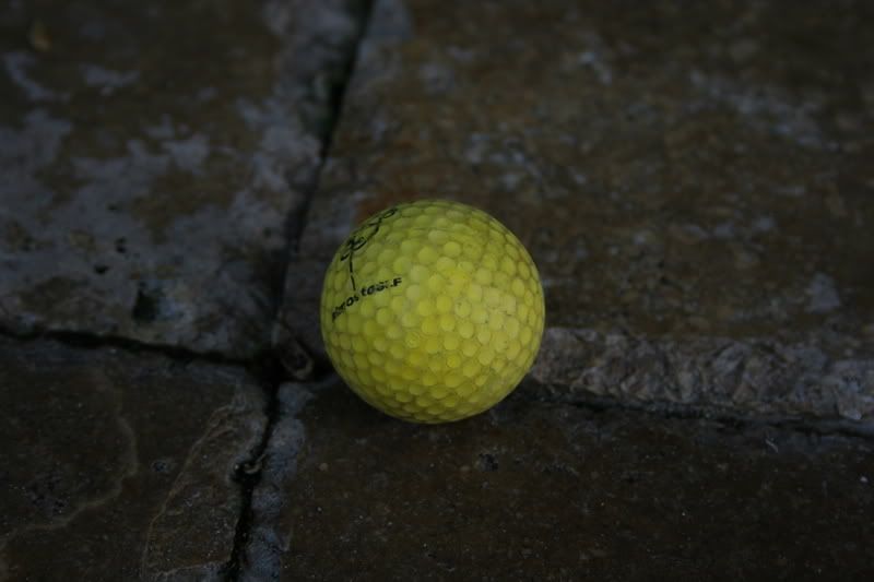XTbackyard026.jpg