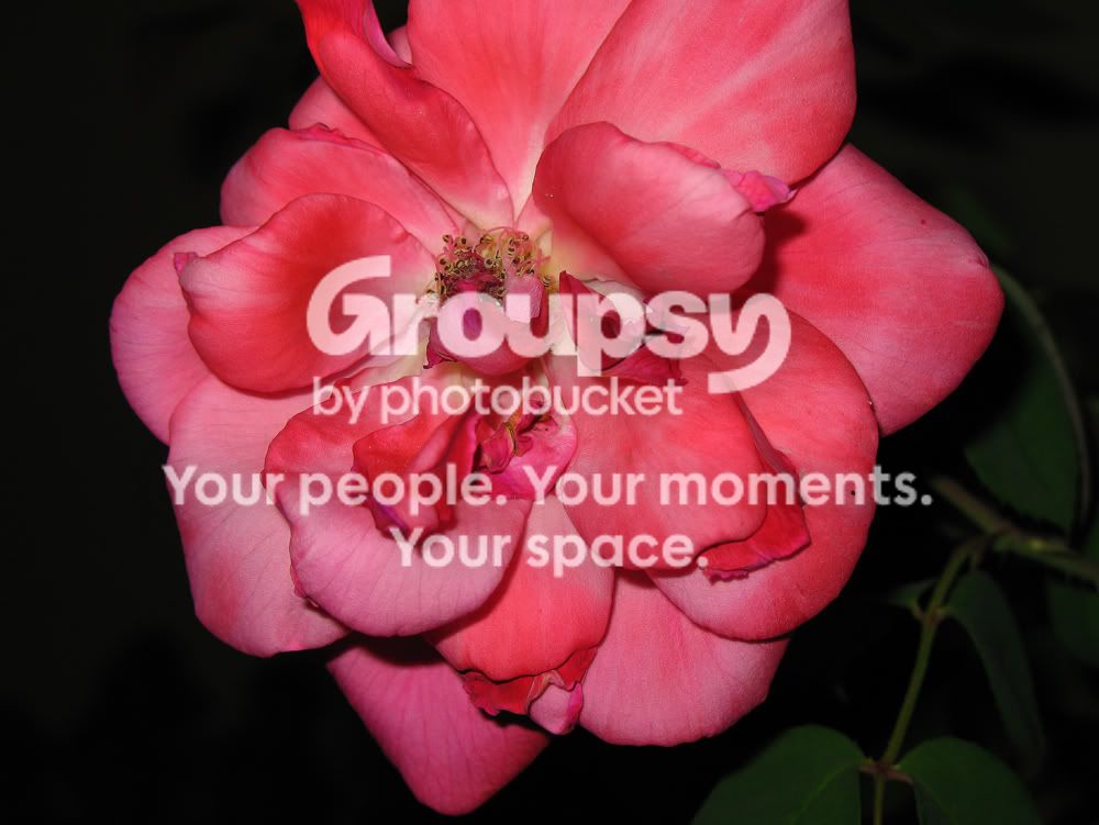 IMG_0725copy.jpg