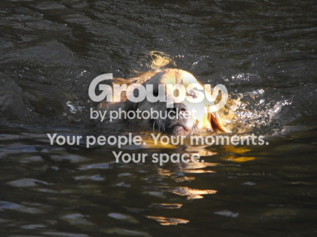 june12200945776.jpg
