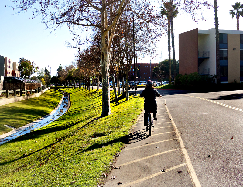 _1020919.jpg