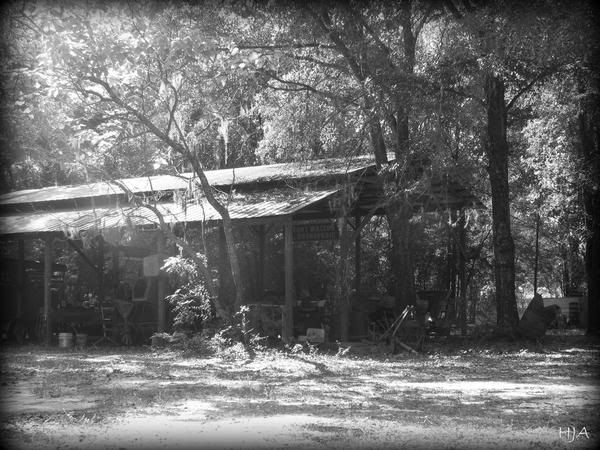oldpollbarn.jpg